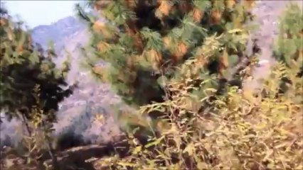 Chakhar Lake Tour AJK