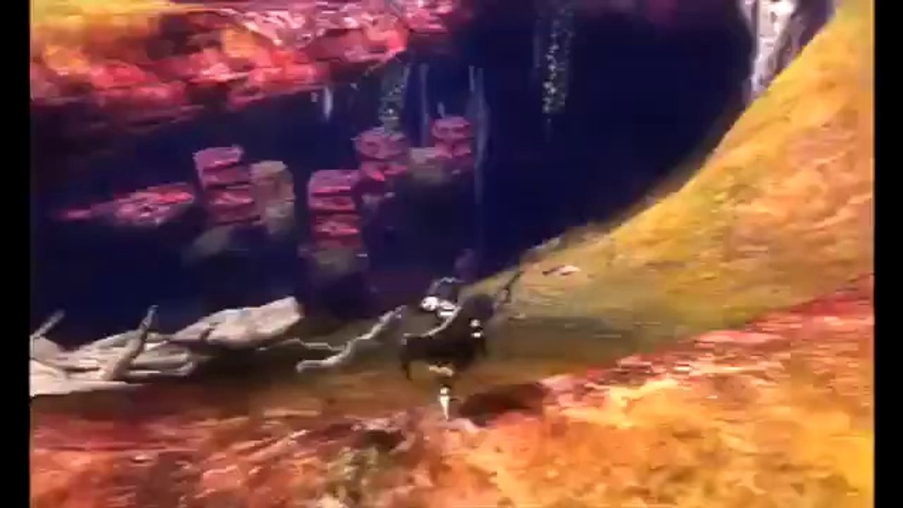 Monster Hunter 4 - Concept Movie