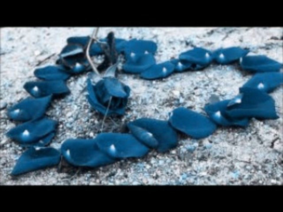 Tarkan & Sorma Kalbim & BEN