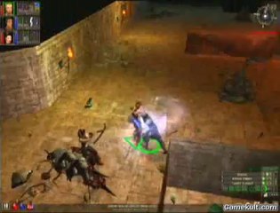 Dungeon Siege : Legends of Aranna - Quelques Mucosa