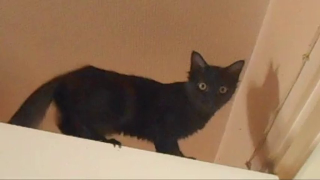Lola, decembre 2013 (4mois)