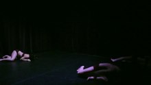 My Human bodies (2013)