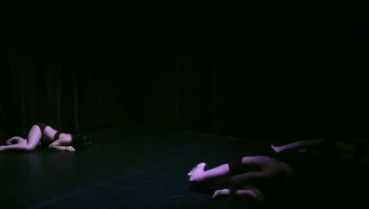 My Human bodies (2013)