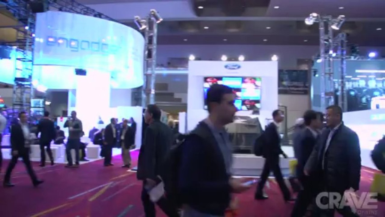 CES 2014: Steve Angello Interview