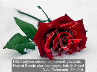 D.A ERZİNCANLI EY GÜL