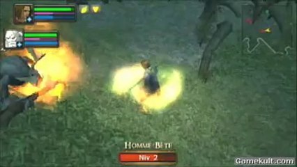 Dungeon Siege : Throne of Agony - Allister à l'oeuvre