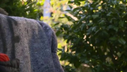 BBC Doctors Series 14 Episode 154 The Good Parent 14/12/12