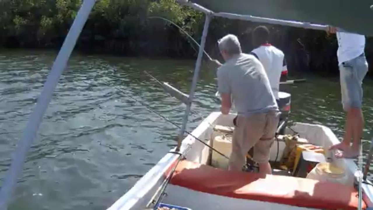 Cap skirring pêcher la carpe au Katakalousse