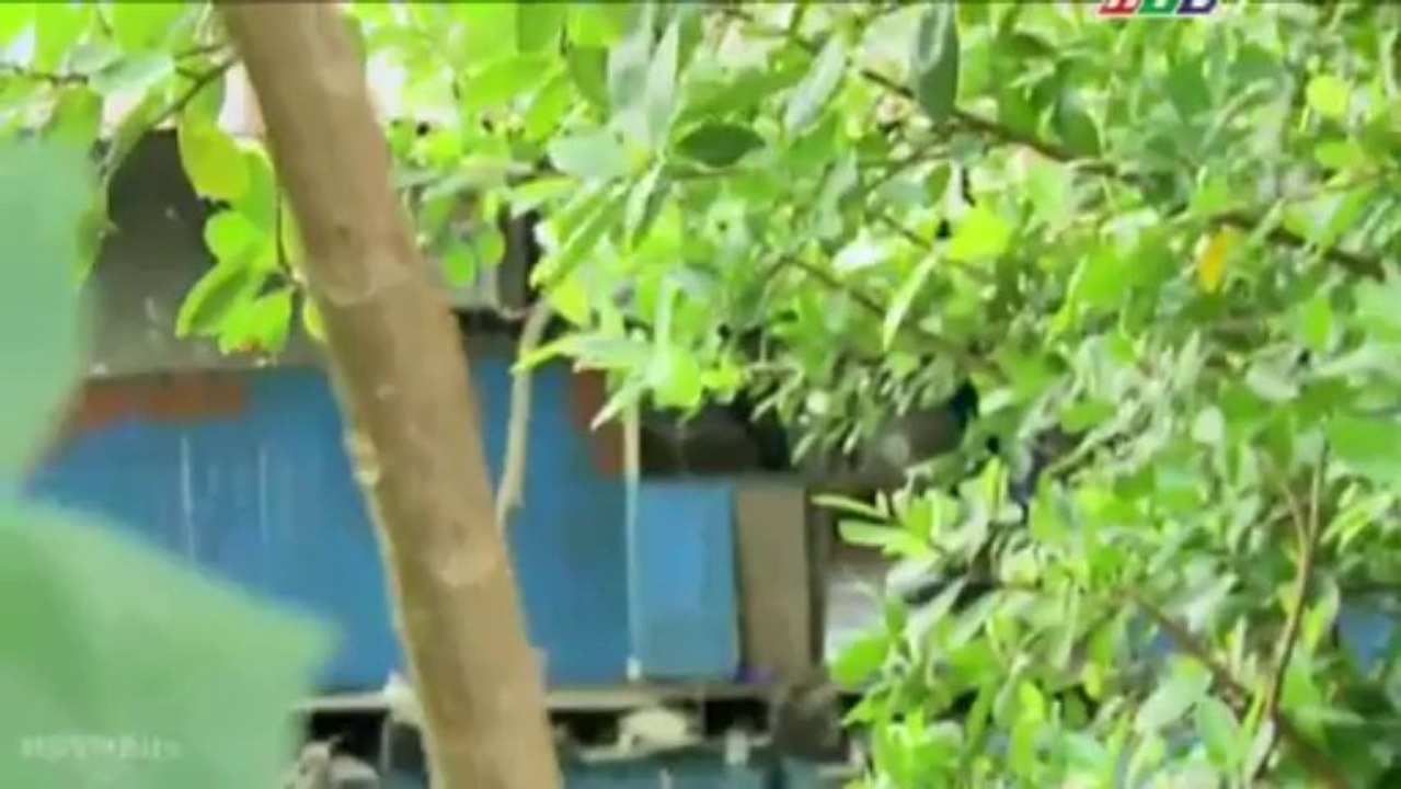 [HDVNBits] Vật chứng mong manh - Tập 06