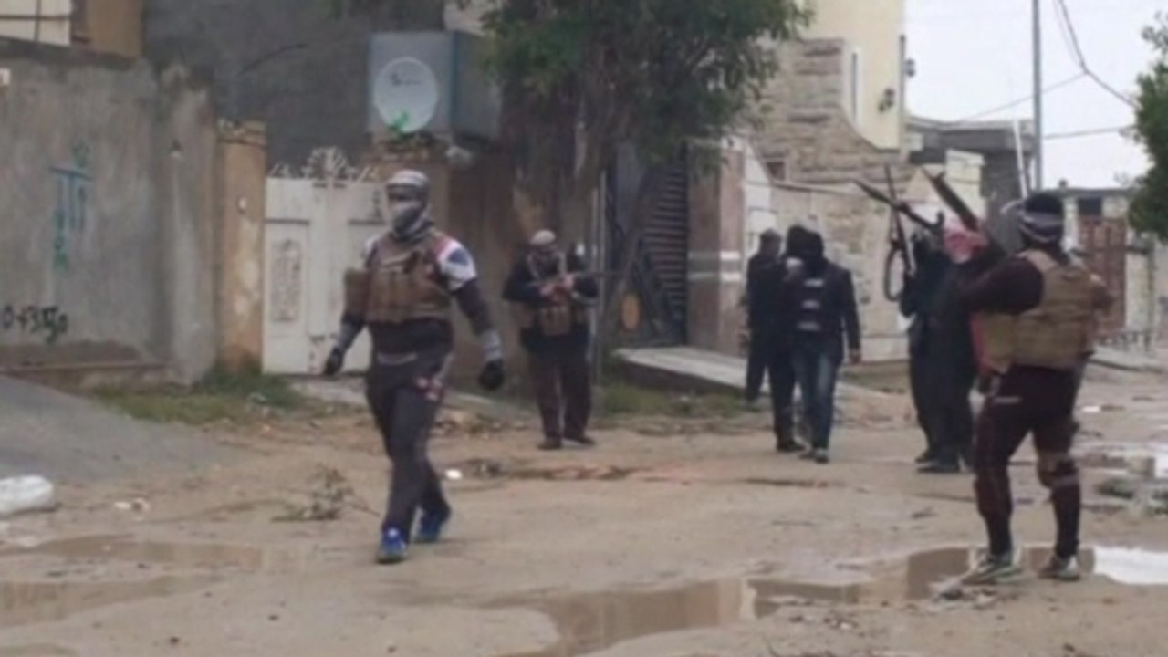 Iraqi army shells Falluja