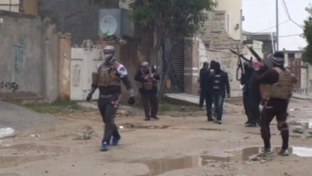 Iraqi army shells Falluja