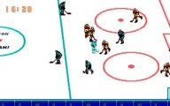 Blades Of Steel (PC) - EGA graphics