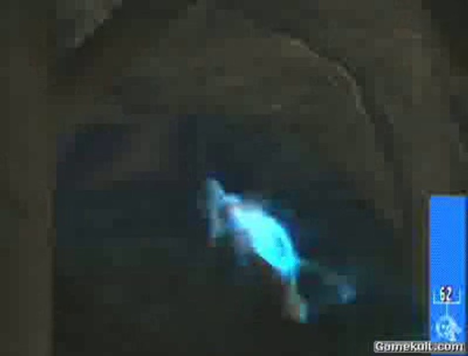 Ghosthunter - Natation astrale