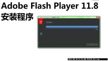Adobe Flash Player 11．8 Plugin 安装程序
