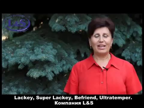 Супер Лакей (Super Lackey) Компании Liberty and Success устранил головные боли и диагноз онкологии
