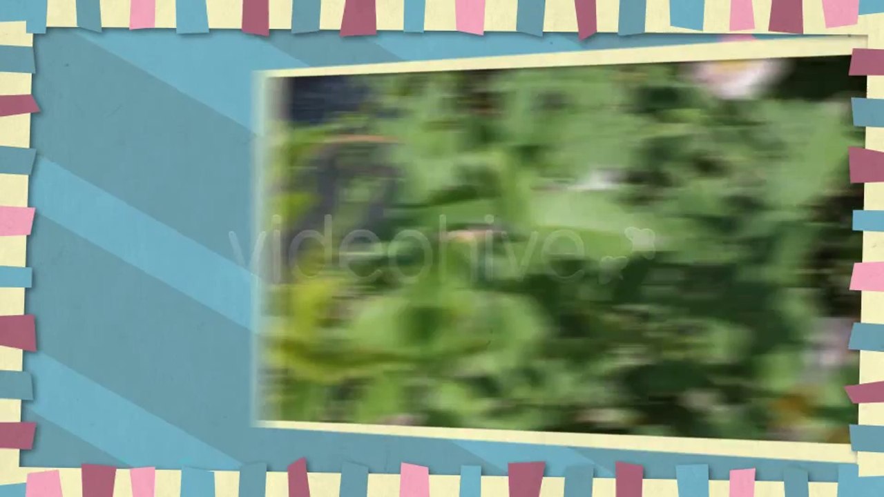 Your Business 2 Promote - After Effects Template