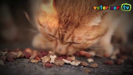 Farkında mısınız?