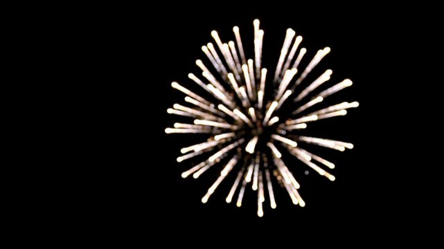 Feu d'artifice à l'occasion de la fête nationale Suisse 2013