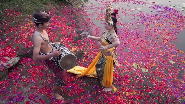 Rizières et paysages d'Indonésie