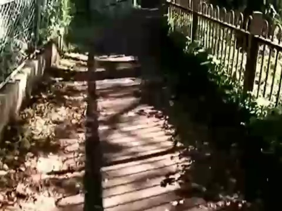 2007-11-04_三鷹台・玉川上水沿い