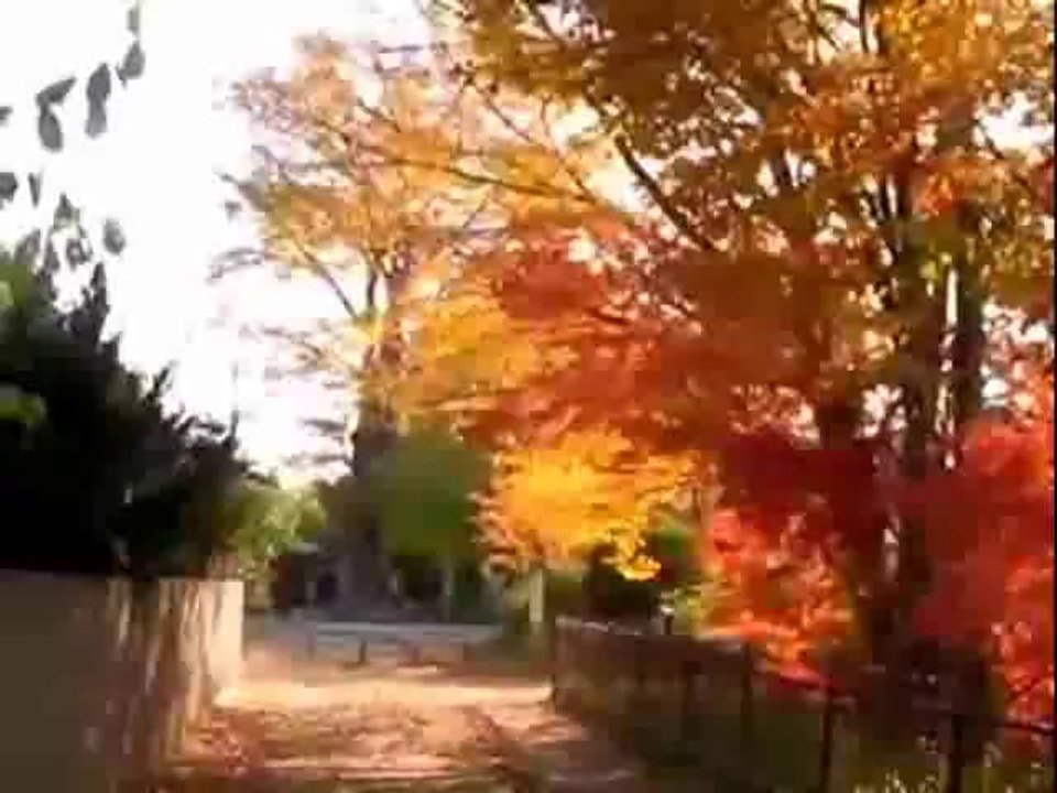 2007-11-17~12-02_晩秋の風景
