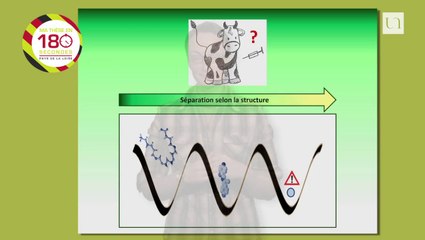 Laure BEUCHER – Chimie « La mobilité ionique au service de la sécurité des aliments »