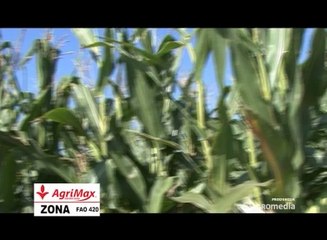 Agrimax - Zona_ 336 _ 22.02.2014.