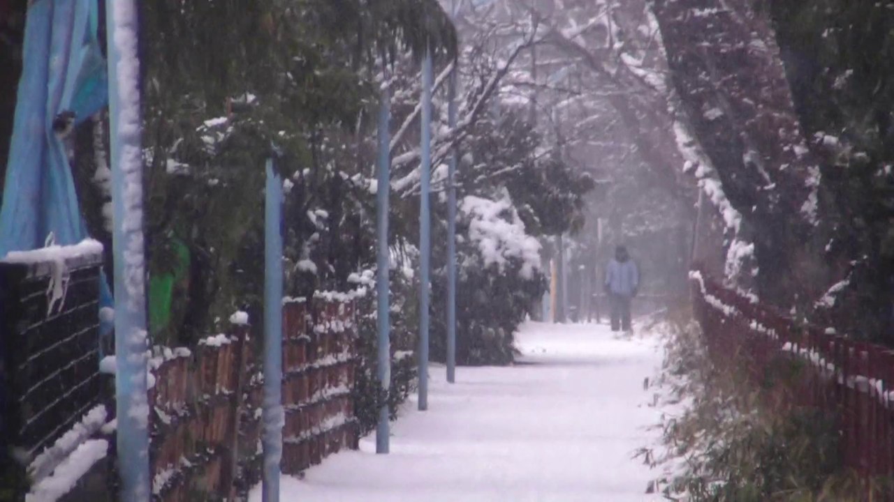 2008-02-03_節分の雪