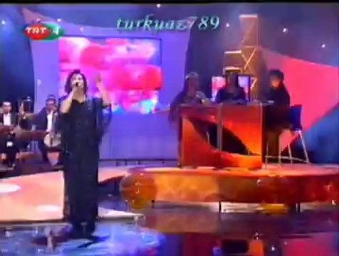 Gülşen KUTLU-Dam Başında Sarı Çiçek