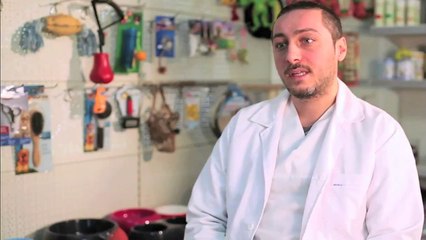 Kedilerde Tırnak Bakımı