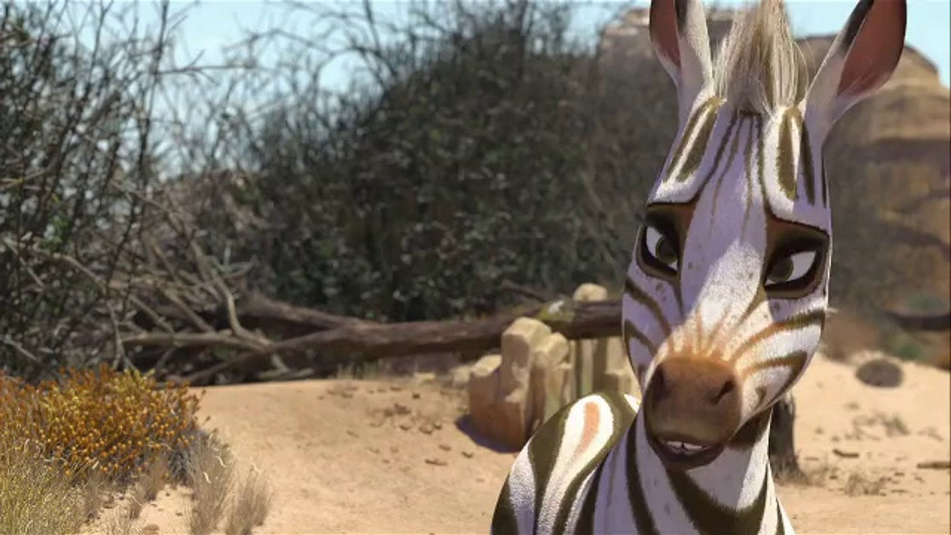 ⁣Cesur Zebra  Fragmanı