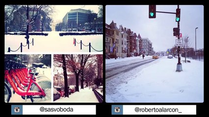 D.C. snowday hits Instagram