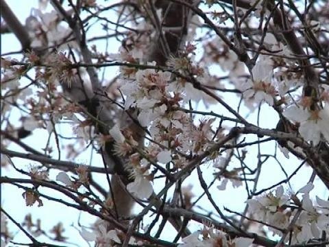 L'hiver 2014 est l'un des plus chauds depuis 1900 - 28/02