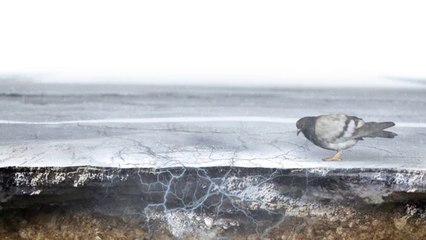 Watch those potholes