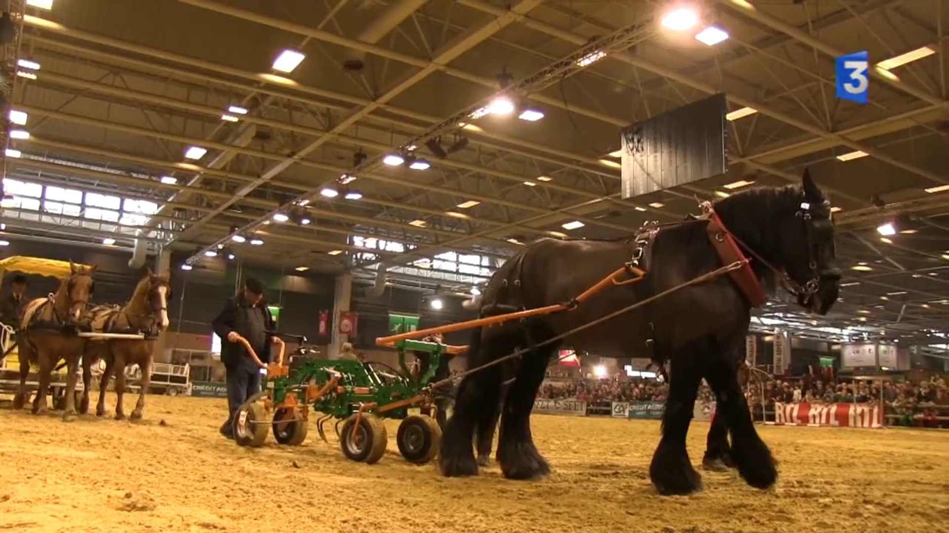 SIA 2014 : ITW Jean-Louis Cannelle traction animale - Vidéo Dailymotion