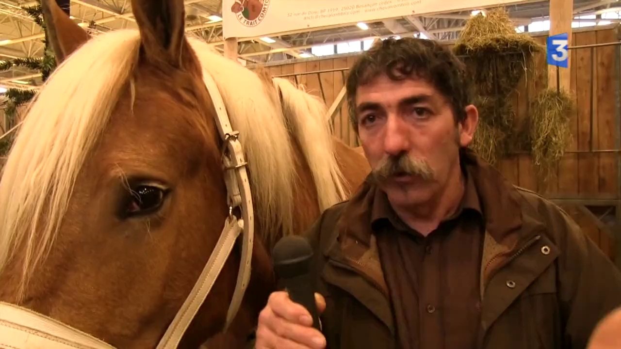 SIA 2014 : ITW Jean-Louis Cannelle - Traction animale