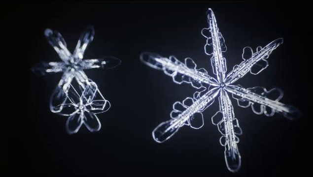 Mesmerising Microscopic Time Lapse of Snowflakes