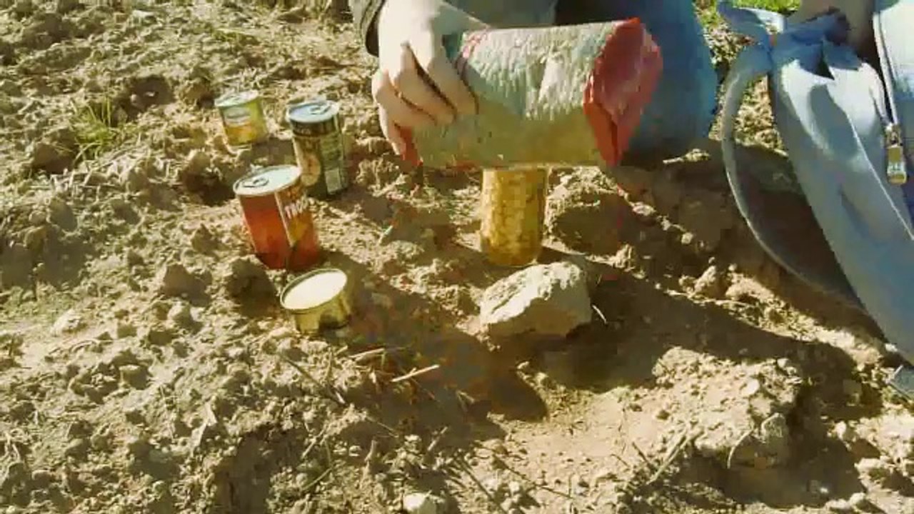 Alimentos y conciencia