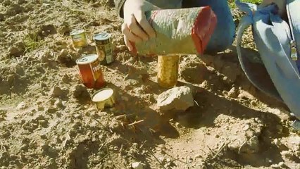 Alimentos y conciencia