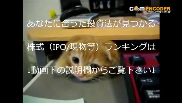 ペアトレード自動ソフト さや取り達人 実践検証 トレード 株式 投資 動画 成績 実績 特典 購入 FX 初心者 レビュー 使い方 勝つ ブログ 体験 評価 評判 詐欺