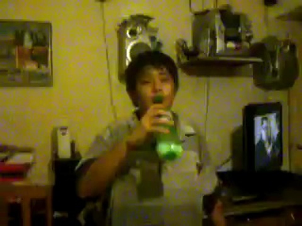 5  tipo  de  borracho