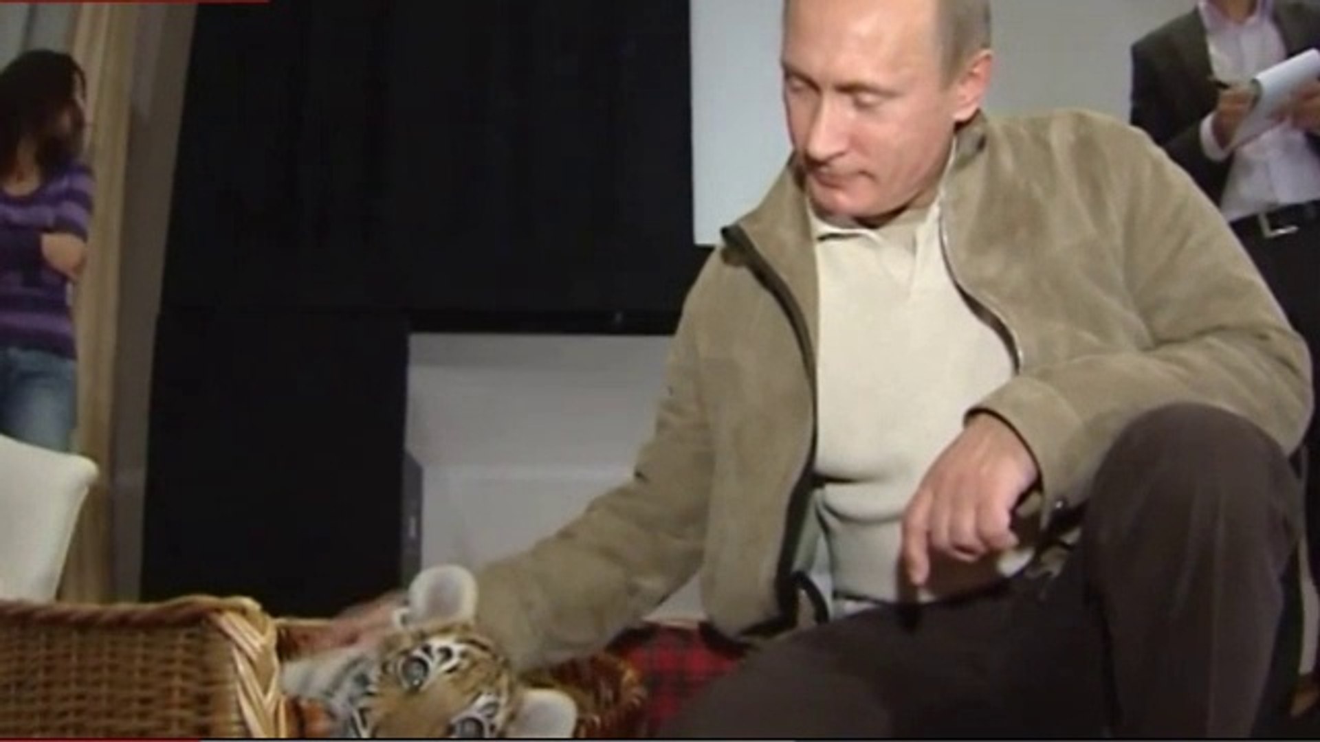 Putin tiger