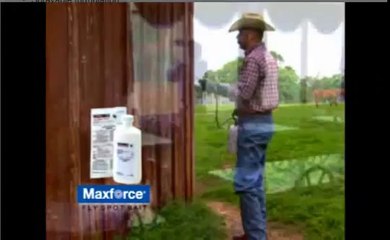 Maxforce Flyspot Flyspray by Bayer | ePestSolutions