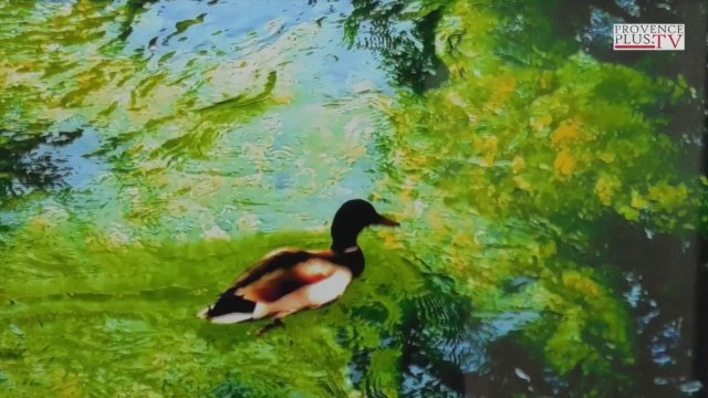 La Nature Dévoilée, exposition aux Thermes Sextius