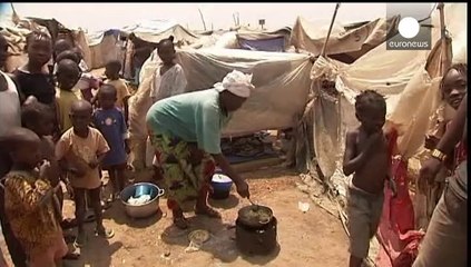 France's Hollande pledges to work to avoid break-up of CAR