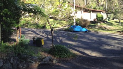 |Sponsor Me Video|Edit|Brenguard skateboards