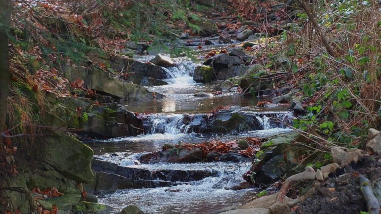 Sentimental piano melody (melodia ii)