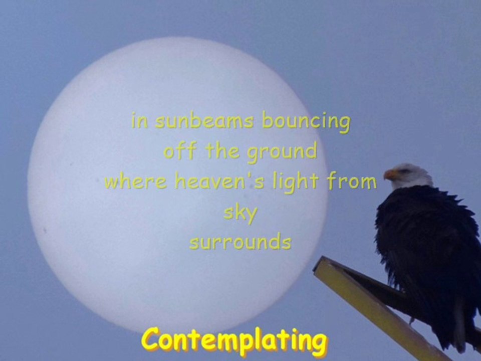 contemplating