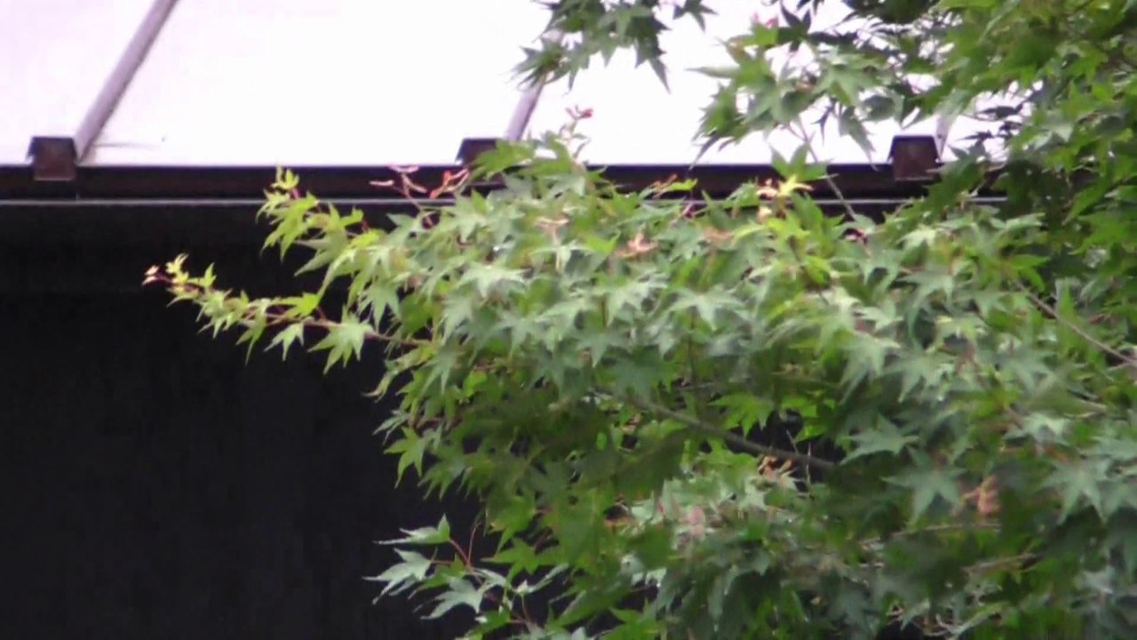 2008-05-24_外は雨