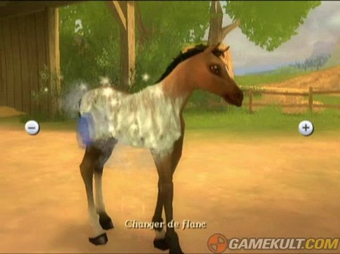 Alexandra Ledermann : La Colline aux Chevaux Sauvages - Je nettoie mon poulain